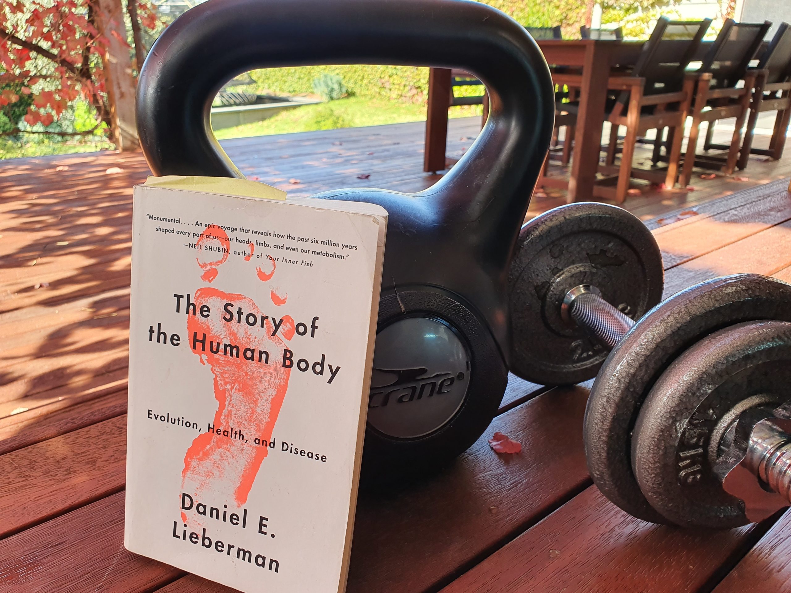 the story of the human body evolution health and disease ebook the story of the human body evolution health and disease ebook